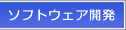 ソフトウエア開発